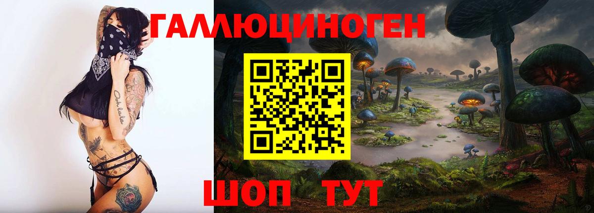 Галлюциногенные грибы Psilocybe Конаково